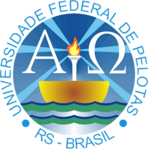 RS: Universidade Federal de Pelotas (UFPel) abre as inscrições do concurso público para professor efetivo